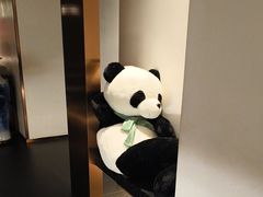 -聚丰园熊猫餐厅(紫金1912·玖爱谷店)