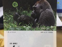 -四川大学(望江校区)