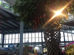 -南通洲际绿博园