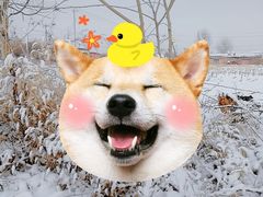 -北京莲花山滑雪场