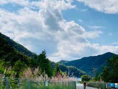 -小芝红树林
