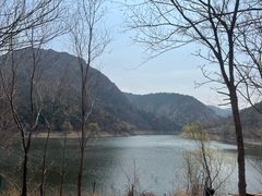 -金龙寺国家森林公园