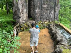 -茅兰沟国家森林公园