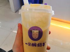 -一只酸奶牛(来福士店)