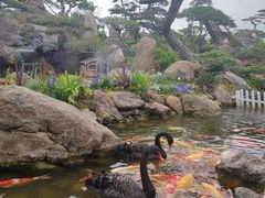 -罗红摄影艺术馆