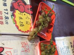 -马陆小张葡萄园农家乐