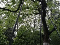 景点-逍遥津公园