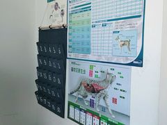 -派美特宠物医院·核磁CT·骨科肿瘤·疑难转诊(沈农禾丰店)