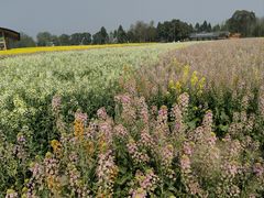 -中国天府农业博览园