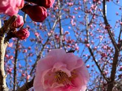 -鹫峰国家森林公园