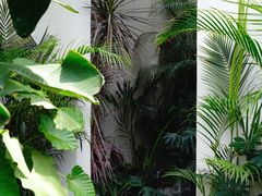 -漫笙舍Manse·咖啡·民宿
