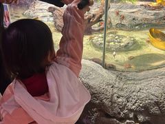 -正佳雨林生态植物园