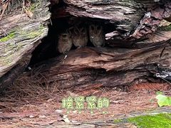 -云南野生动物园