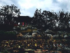 -上海滨江森林公园