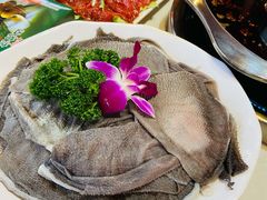 -枇杷园食为鲜火锅(南山店)