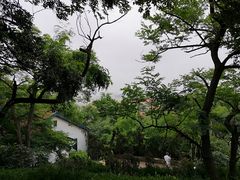 -观象山公园