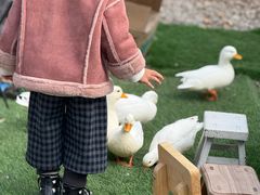 -HERRE·FARM 赫尔露营农场·团建聚会包场