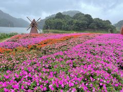 -广州市石门国家森林公园