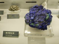 -中国地质博物馆