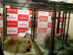 android_upload_pic-东浩兰生上海世博展览馆