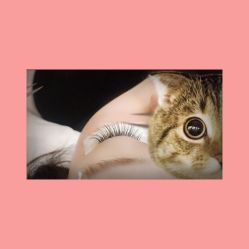 -一本X目奈子日式单根美睫专业店