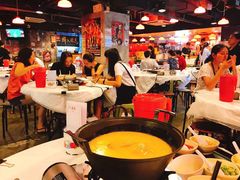 浓厚原只鸡煲花胶汤-鲜入围煮花胶鸡海鲜火锅