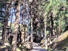 -大围山国家森林公园