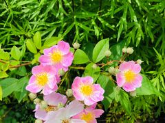 -浮山风景名胜区