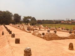 -盘龙城国家考古遗址公园