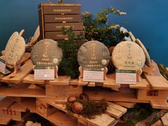 -七彩云南茶(七彩云南第壹城店)