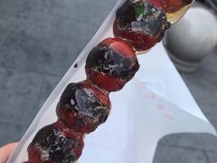 山楂豆沙糖葫芦-糖葫芦王保定名吃(古莲花池店)