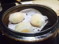 -糖朝(尖沙咀店)