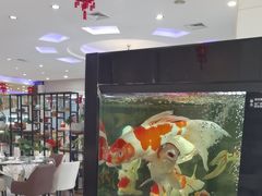 -老虎滩船说·大连海鲜(老虎滩店)