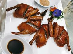 -食神鱼头佛跳墙(百子湾旗舰店)