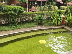 -金穗园温泉酒店