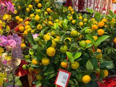 -沃尔玛(前山店)
