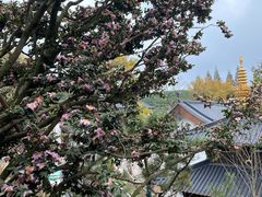 -径山寺