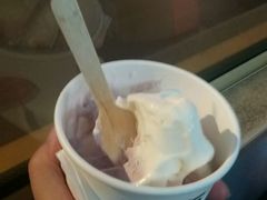 -歎雪糕低糖低脂Gelato冰淇淋