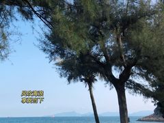 -玫瑰海岸文化旅游度假区