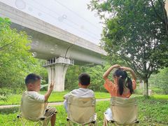 -桤木河湿地公园