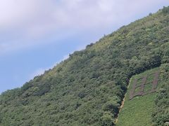 -西山人家·二十年老字号农家菜(旺山店)