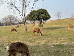 -良渚古城遗址公园