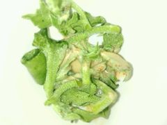 非洲冰草-云门锦翠(商鼎国际店)