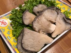 -芦月轩羊蝎子(劲松店)