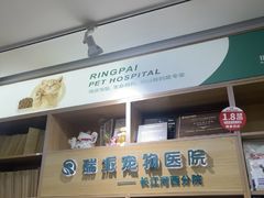 -瑞派长江宠物医院·猫科·外科·24小时夜护(谊城公寓分院)