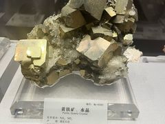 -湖南省地质博物馆