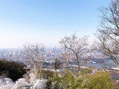 -紫金山天文台