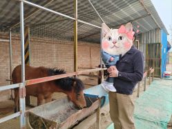 -上美四季动物农场