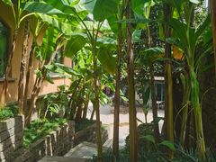 -铜锣湾·有麝自然香(重庆新天地店)
