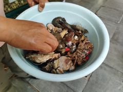 -晓伟海鲜家常菜